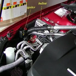 xenon 015.jpg