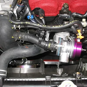 bov-008.jpg