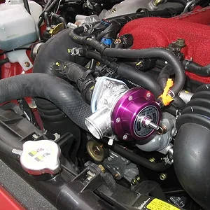 bov-009.jpg