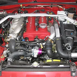 bov-010.jpg