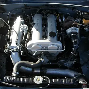 DSCN1497.JPG