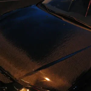 VisCFHood 007.jpg