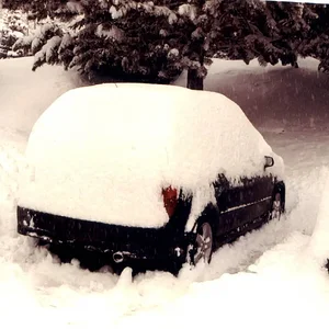 snow covered P5.jpg
