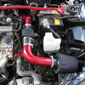 short ram0001.JPG