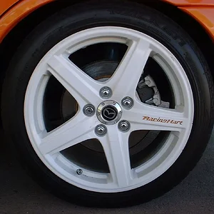 white racing hart's.JPG