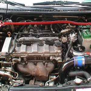 P519.jpg