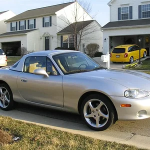 IMG_0834 (Large).webp