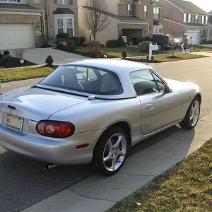 IMG_0833 (Large).webp