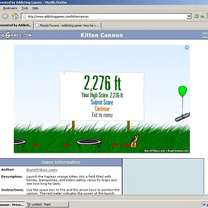 cat.webp