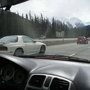 P1010004.webp