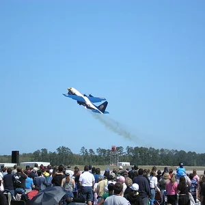 fatalbert1.webp