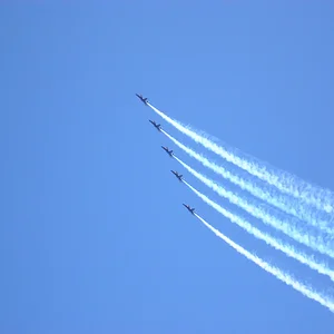 P4170054.webp