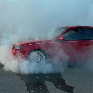 P1030556.webp