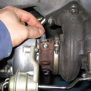 IMG_0088 (Medium).webp