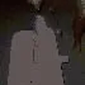 000_0884.webp