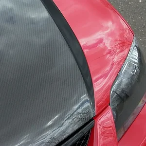 P1030590.webp
