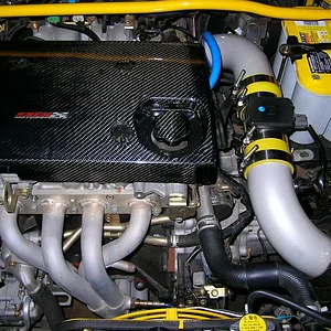 egr1.webp