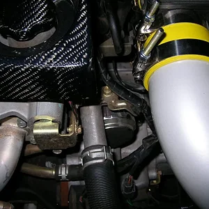 egr2.webp