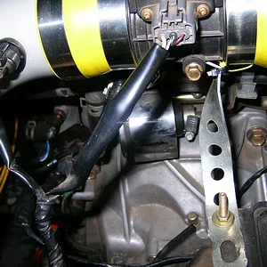 egr3.webp