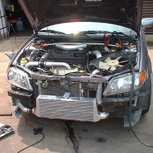 Adam's pic's 010.webp