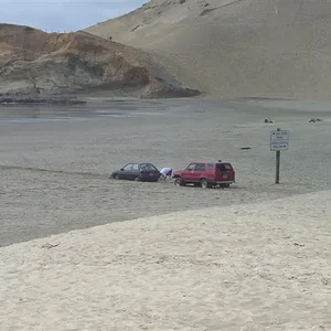 Pacific Coast 037.webp