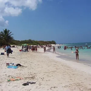 culebra2.webp