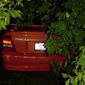 MSP wreck pics 022.webp