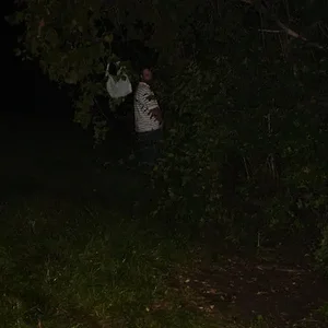 MSP wreck pics 023.webp