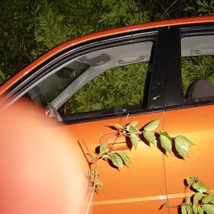 MSP wreck pics 026.webp