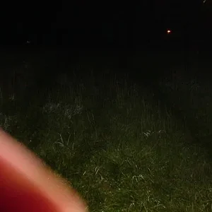 MSP wreck pics 027.webp