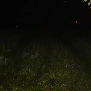 MSP wreck pics 028.webp