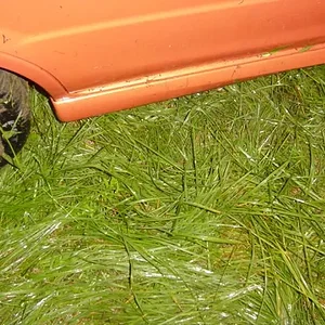 MSP wreck pics 032.webp