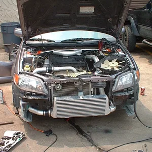 Adam's pic's 012.webp