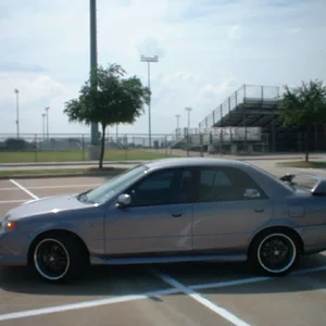 Adam's pic's 037.webp