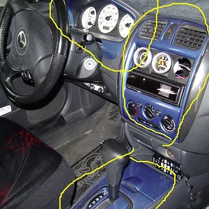 everything else.webp