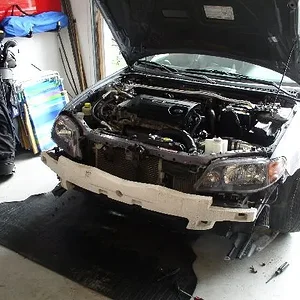 chris no bumper.webp