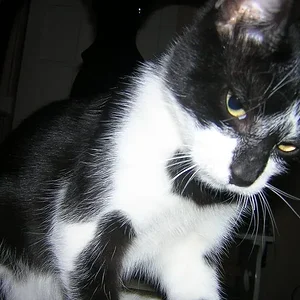 DSCN3485.webp