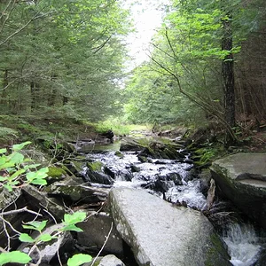 South end of the brook 2.webp