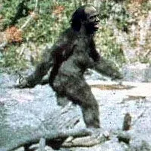 sasquatch.webp