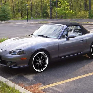 P5170591_c copy.webp