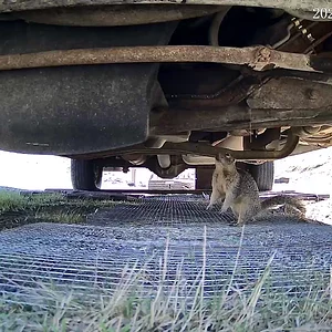 vlc-record-2025-10-29-12h08m06s-rtsp__17617648860001761764886000-1.mp4