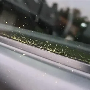 IMG_7531 (Small).webp