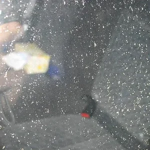 IMG_7533 (Small).webp