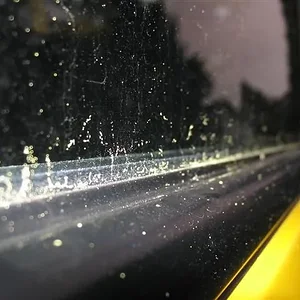 IMG_7535 (Small).webp