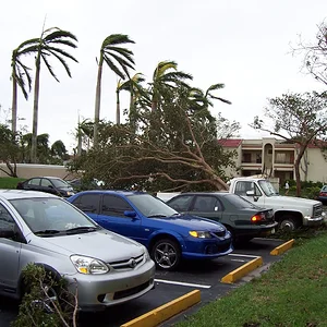 Digital photos 170.webp