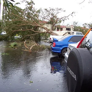 Digital photos 172.webp