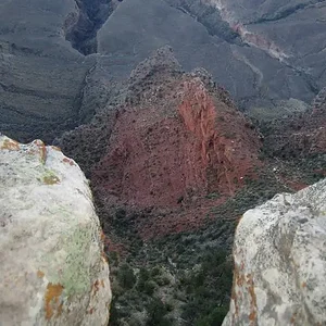 Depth perception.webp