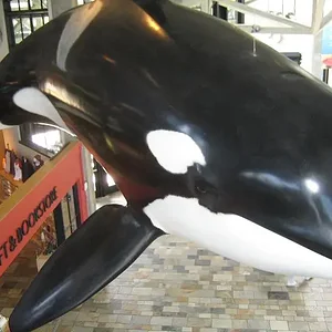 Aquarium of the Pacific 1.webp