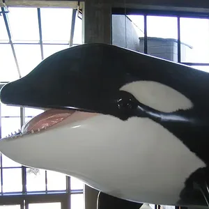 Aquarium of the Pacific 2.webp