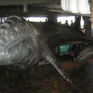 Aquarium of the Pacific 3.webp